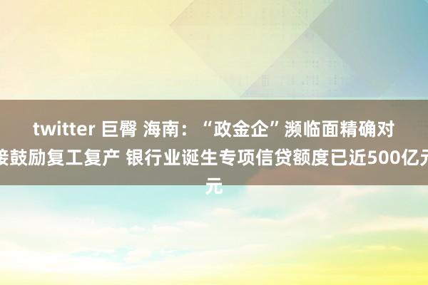 twitter 巨臀 海南：“政金企”濒临面精确对接鼓励复工复产 银行业诞生专项信贷额度已近500亿元