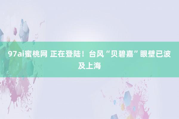 97ai蜜桃网 正在登陆！台风“贝碧嘉”眼壁已波及上海