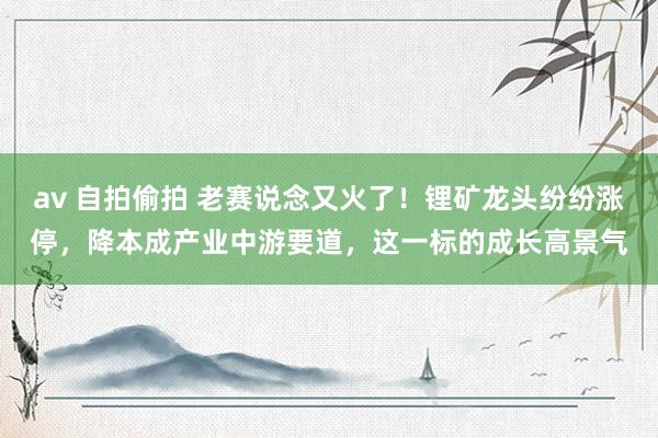 av 自拍偷拍 老赛说念又火了！锂矿龙头纷纷涨停，降本成产业中游要道，这一标的成长高景气