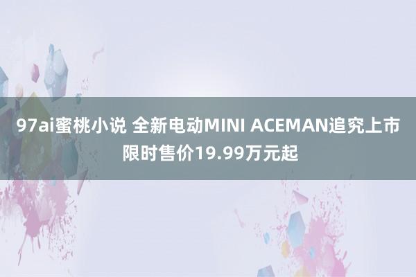 97ai蜜桃小说 全新电动MINI ACEMAN追究上市 限时售价19.99万元起