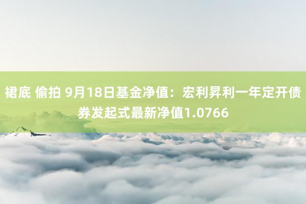 裙底 偷拍 9月18日基金净值：宏利昇利一年定开债券发起式最新净值1.0766