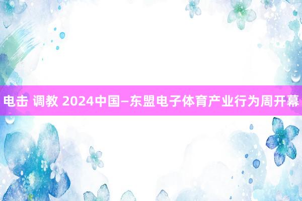 电击 调教 2024中国—东盟电子体育产业行为周开幕