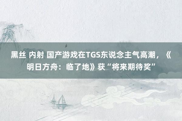 黑丝 内射 国产游戏在TGS东说念主气高潮，《明日方舟：临了地》获“将来期待奖”