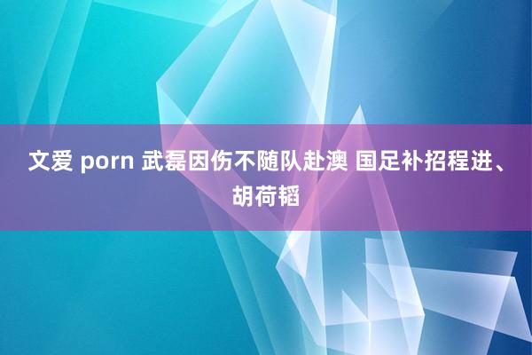 文爱 porn 武磊因伤不随队赴澳 国足补招程进、胡荷韬