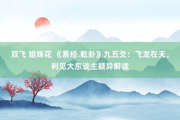 双飞 姐妹花 《易经.乾卦》九五爻：飞龙在天，利见大东谈主颖异解读