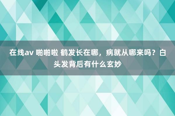 在线av 啪啪啦 鹤发长在哪，病就从哪来吗？白头发背后有什么玄妙