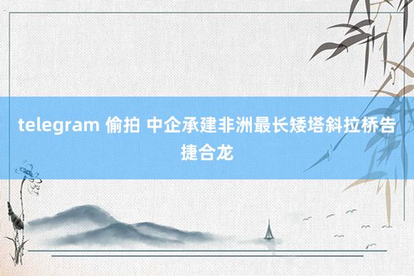 telegram 偷拍 中企承建非洲最长矮塔斜拉桥告捷合龙