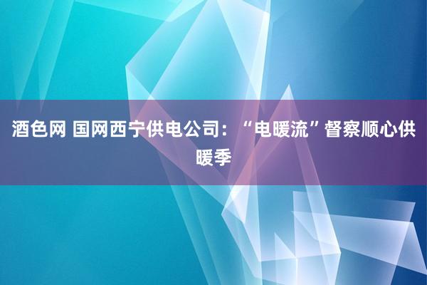 酒色网 国网西宁供电公司：“电暖流”督察顺心供暖季