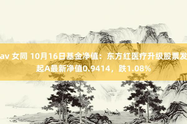 av 女同 10月16日基金净值：东方红医疗升级股票发起A最新净值0.9414，跌1.08%