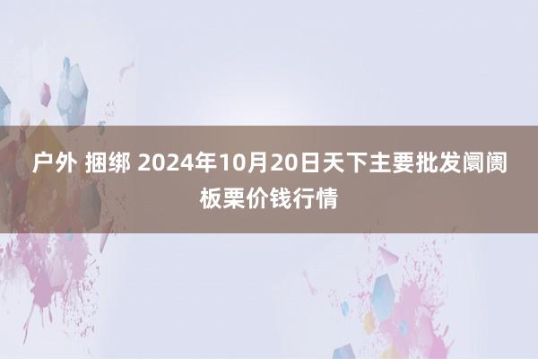 户外 捆绑 2024年10月20日天下主要批发阛阓板栗价钱行情