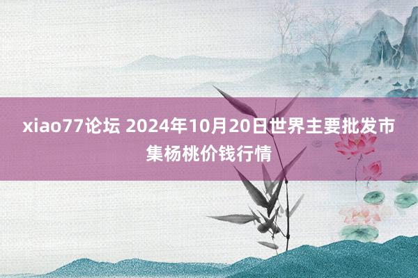 xiao77论坛 2024年10月20日世界主要批发市集杨桃价钱行情