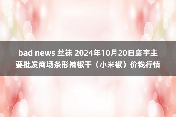 bad news 丝袜 2024年10月20日寰宇主要批发商场条形辣椒干（小米椒）价钱行情