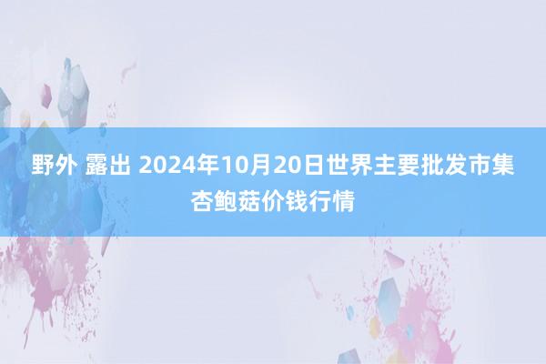 野外 露出 2024年10月20日世界主要批发市集杏鲍菇价钱行情