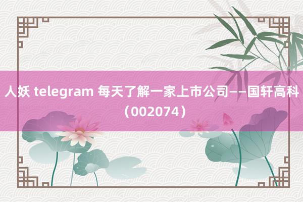 人妖 telegram 每天了解一家上市公司——国轩高科（002074）