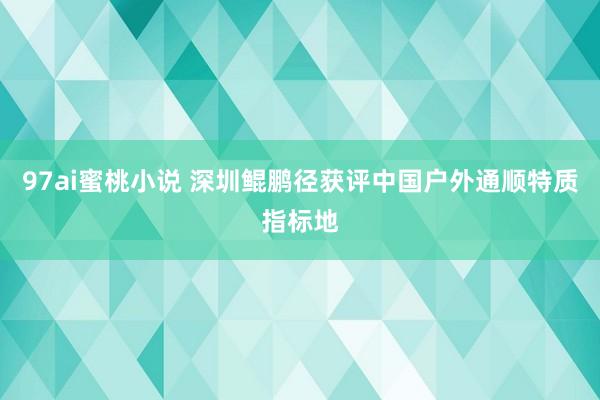 97ai蜜桃小说 深圳鲲鹏径获评中国户外通顺特质指标地