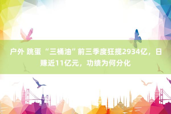 户外 跳蛋 “三桶油”前三季度狂揽2934亿，日赚近11亿元，功绩为何分化