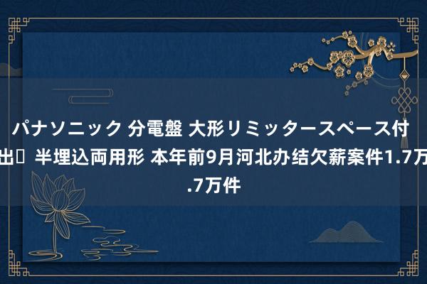 パナソニック 分電盤 大形リミッタースペース付 露出・半埋込両用形 本年前9月河北办结欠薪案件1.7万件