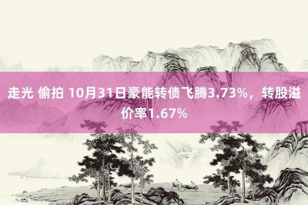 走光 偷拍 10月31日豪能转债飞腾3.73%，转股溢价率1.67%