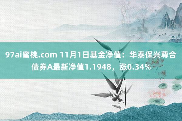 97ai蜜桃.com 11月1日基金净值：华泰保兴尊合债券A最新净值1.1948，涨0.34%