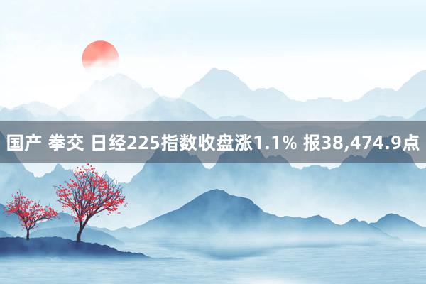 国产 拳交 日经225指数收盘涨1.1% 报38，474.9点