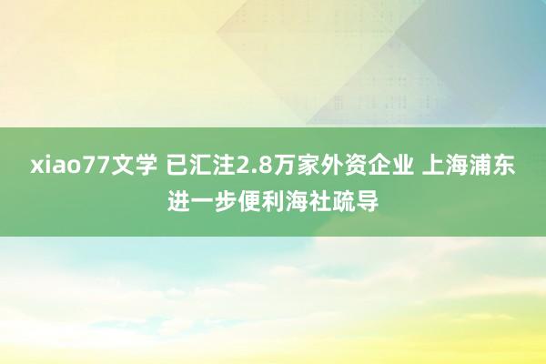 xiao77文学 已汇注2.8万家外资企业 上海浦东进一步便利海社疏导