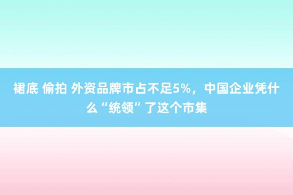 裙底 偷拍 外资品牌市占不足5%，中国企业凭什么“统领”了这个市集