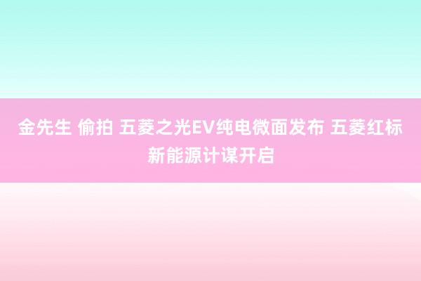 金先生 偷拍 五菱之光EV纯电微面发布 五菱红标新能源计谋开启