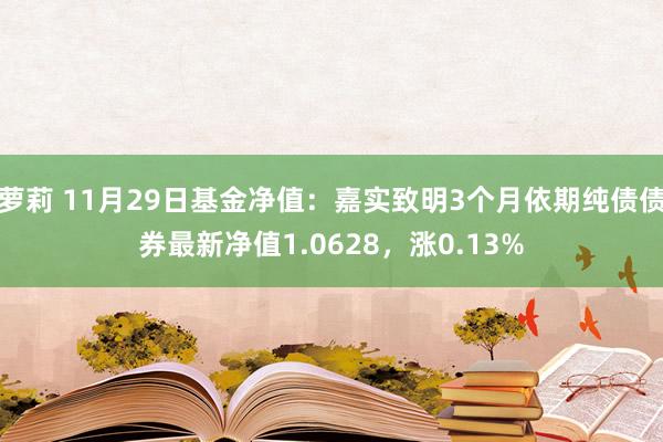 萝莉 11月29日基金净值：嘉实致明3个月依期纯债债券最新净值1.0628，涨0.13%