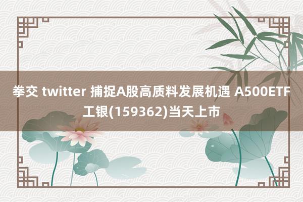 拳交 twitter 捕捉A股高质料发展机遇 A500ETF工银(159362)当天上市