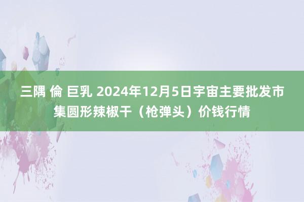 三隅 倫 巨乳 2024年12月5日宇宙主要批发市集圆形辣椒干（枪弹头）价钱行情