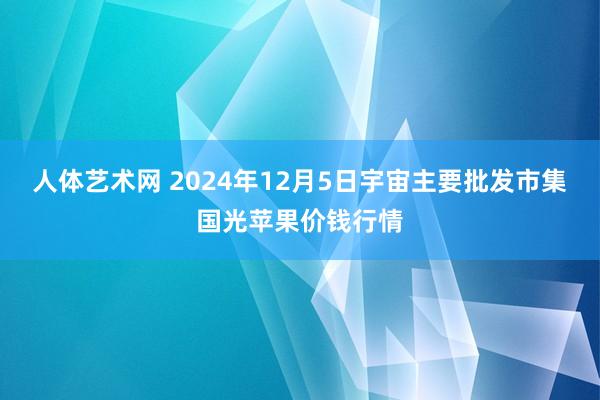 人体艺术网 2024年12月5日宇宙主要批发市集国光苹果价钱行情