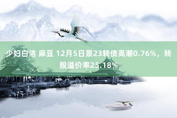 少妇白洁 麻豆 12月5日景23转债高潮0.76%，转股溢价率25.18%