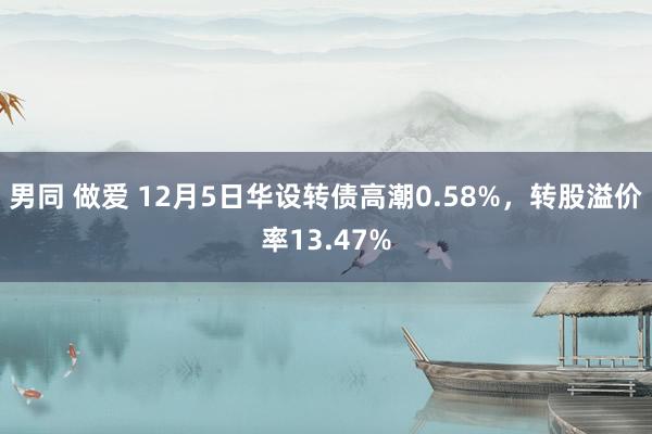 男同 做爱 12月5日华设转债高潮0.58%，转股溢价率13.47%