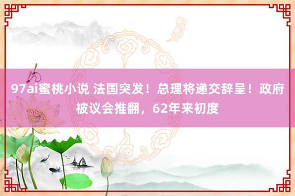 97ai蜜桃小说 法国突发！总理将递交辞呈！政府被议会推翻，62年来初度