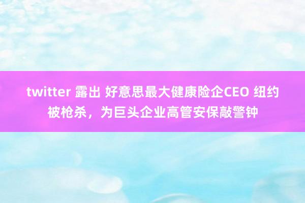 twitter 露出 好意思最大健康险企CEO 纽约被枪杀，为巨头企业高管安保敲警钟