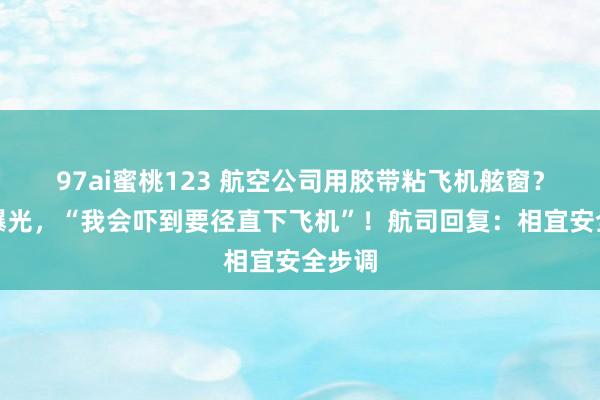 97ai蜜桃123 航空公司用胶带粘飞机舷窗？乘客曝光，“我会吓到要径直下飞机”！航司回复：相宜安全步调