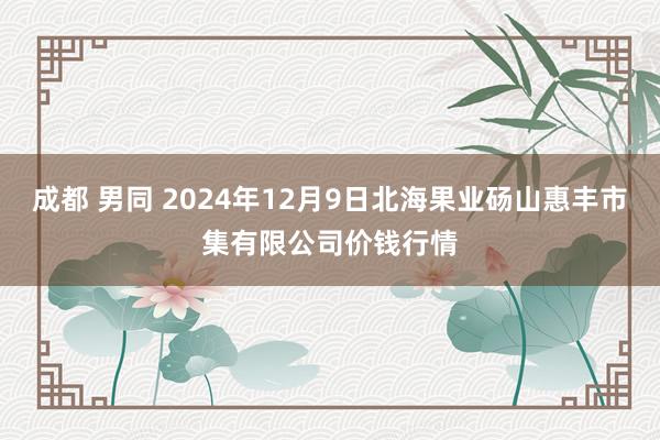 成都 男同 2024年12月9日北海果业砀山惠丰市集有限公司价钱行情