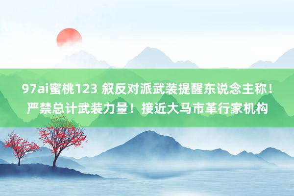 97ai蜜桃123 叙反对派武装提醒东说念主称！严禁总计武装力量！接近大马市革行家机构