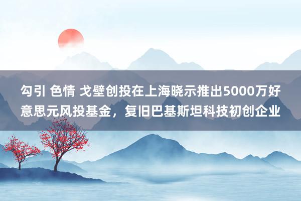 勾引 色情 戈壁创投在上海晓示推出5000万好意思元风投基金，复旧巴基斯坦科技初创企业