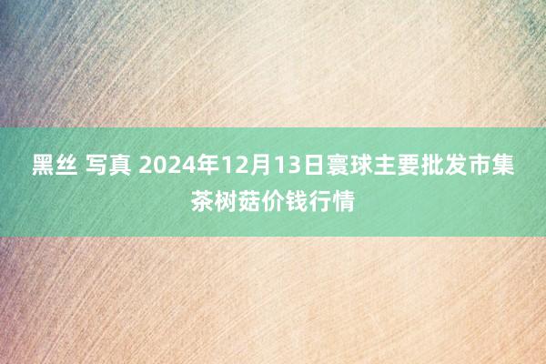 黑丝 写真 2024年12月13日寰球主要批发市集茶树菇价钱行情