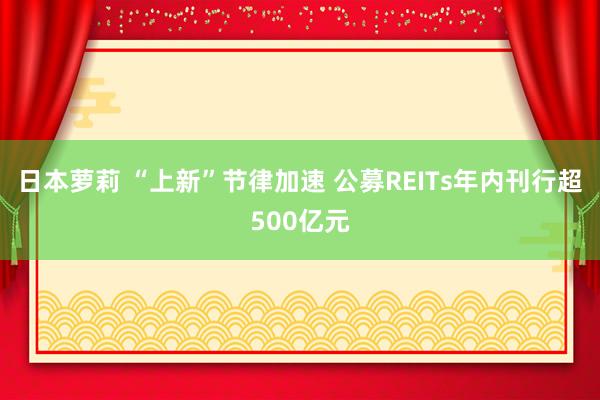 日本萝莉 “上新”节律加速 公募REITs年内刊行超500亿元