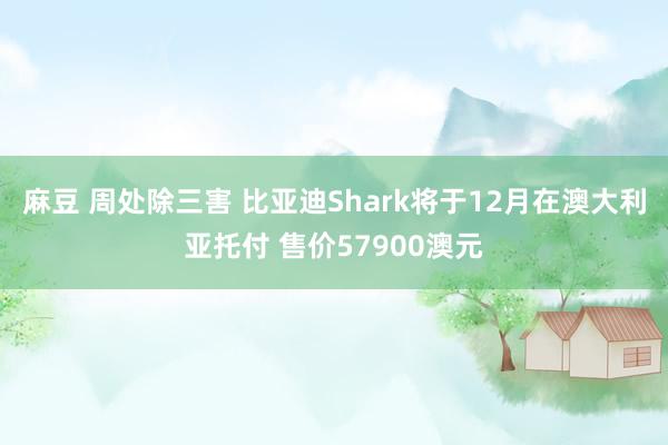 麻豆 周处除三害 比亚迪Shark将于12月在澳大利亚托付 售价57900澳元