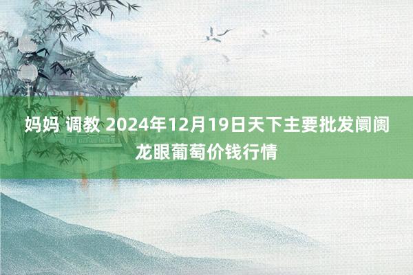 妈妈 调教 2024年12月19日天下主要批发阛阓龙眼葡萄价钱行情