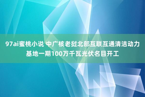 97ai蜜桃小说 中广核老挝北部互联互通清洁动力基地一期100万千瓦光伏名目开工