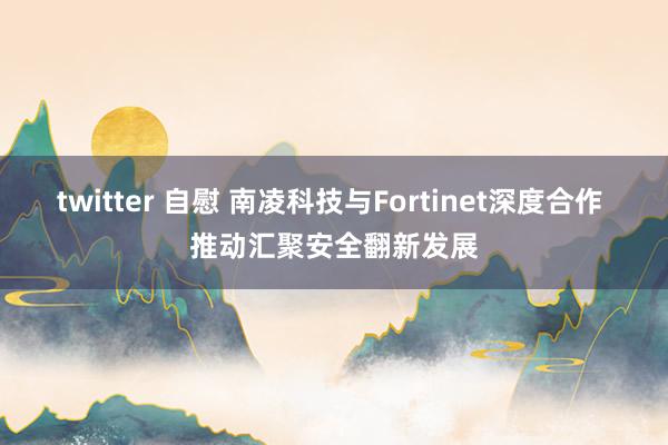 twitter 自慰 南凌科技与Fortinet深度合作 推动汇聚安全翻新发展