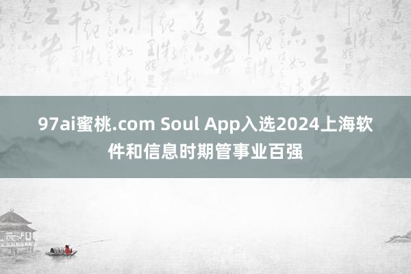 97ai蜜桃.com Soul App入选2024上海软件和信息时期管事业百强