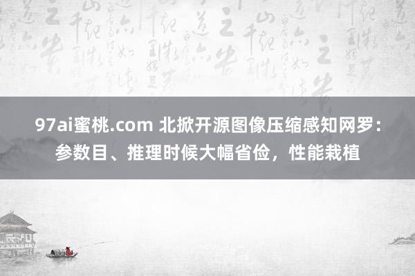 97ai蜜桃.com 北掀开源图像压缩感知网罗：参数目、推理时候大幅省俭，性能栽植