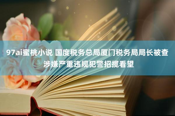 97ai蜜桃小说 国度税务总局厦门税务局局长被查 涉嫌严重违规犯警招揽看望