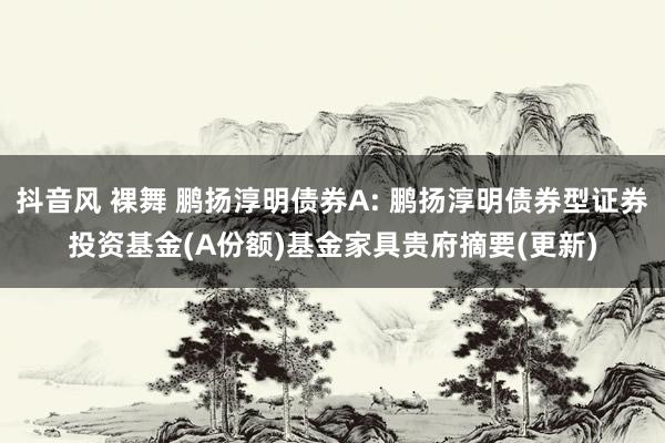 抖音风 裸舞 鹏扬淳明债券A: 鹏扬淳明债券型证券投资基金(A份额)基金家具贵府摘要(更新)