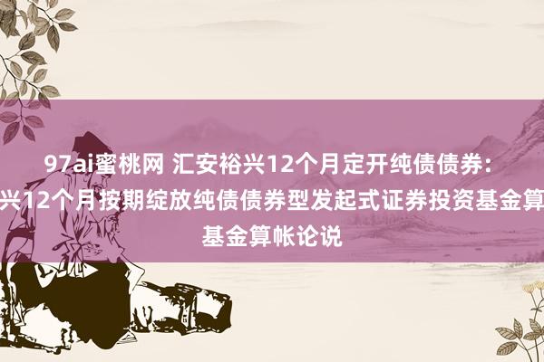 97ai蜜桃网 汇安裕兴12个月定开纯债债券: 汇安裕兴12个月按期绽放纯债债券型发起式证券投资基金算帐论说